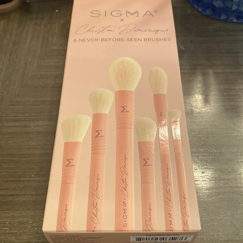 Sigma x Christen Dominique brush set